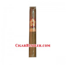 Room 101 Farce Connecticut Super Toro Cigar - Single Room 101 Farce Connecticut Super Toro Cigar - Single