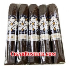 Room 101 Farce Maduro Corona Cigar - 5 Pack Room 101 Farce Maduro Corona Cigar - 5 Pack