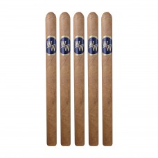 Black Star Line War Witch Lancero Cigar - 5 Pack Black Star Line War Witch Lancero Cigar - 5 Pack